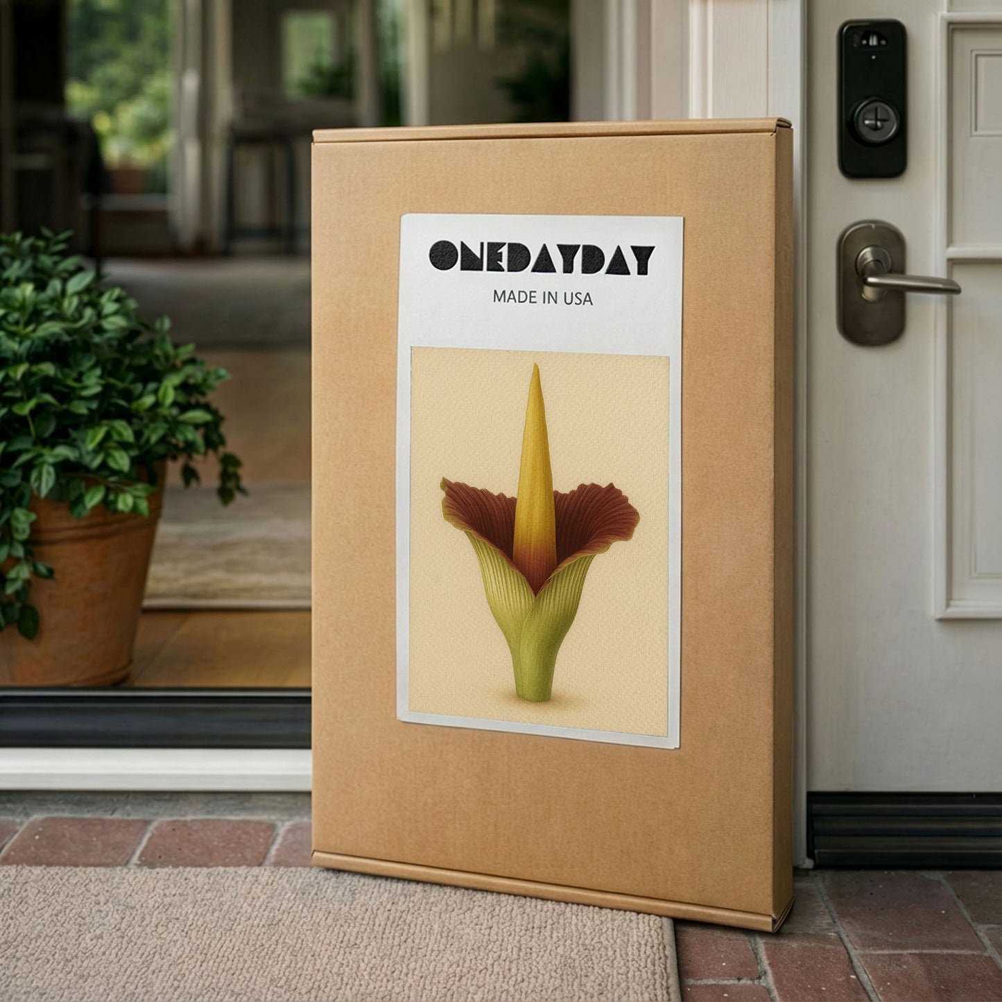 Amorphophallus Titanum – Classic Botanical Illustration Canvas Art