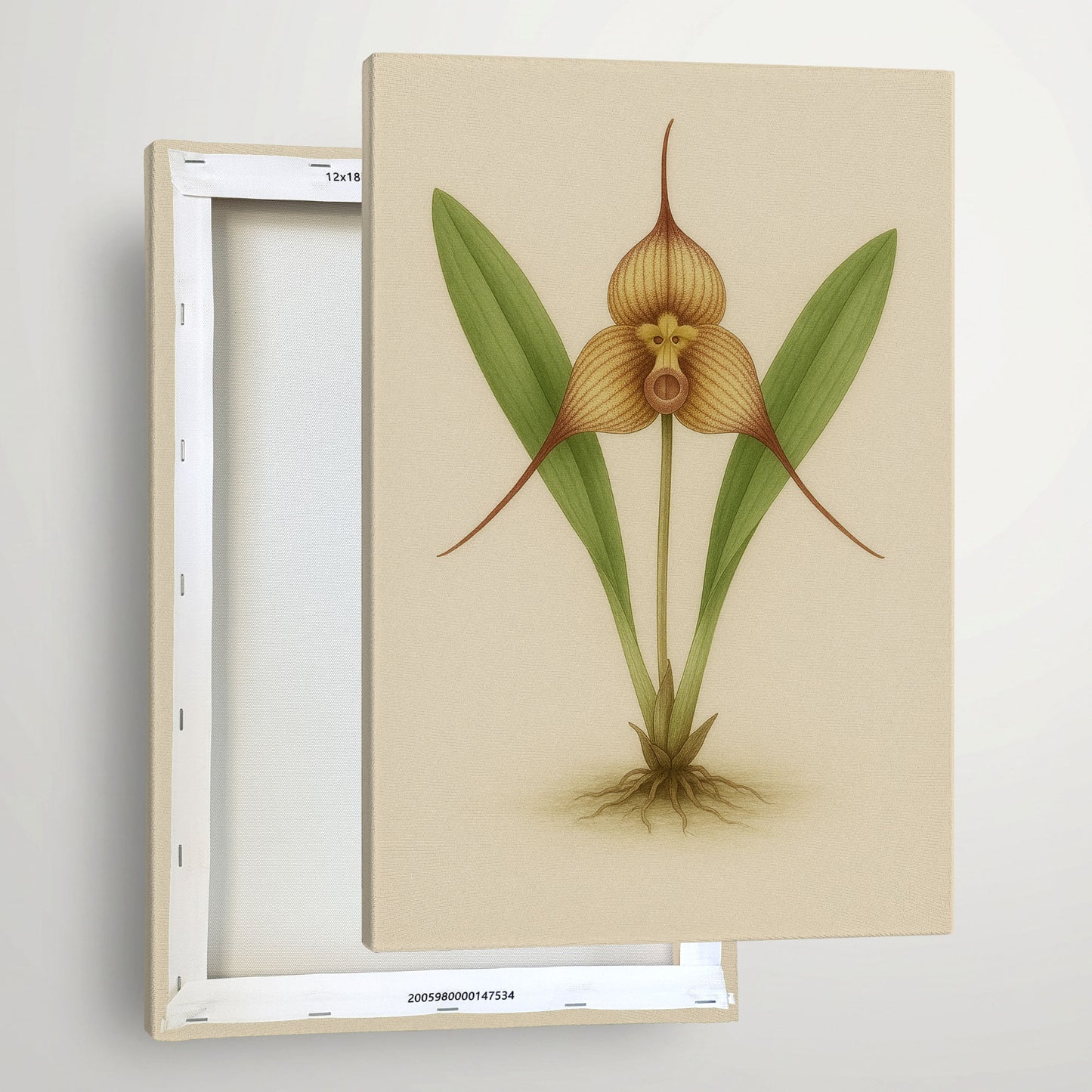 Orchid Form Study - Vintage Botanical Illustration Canvas Art