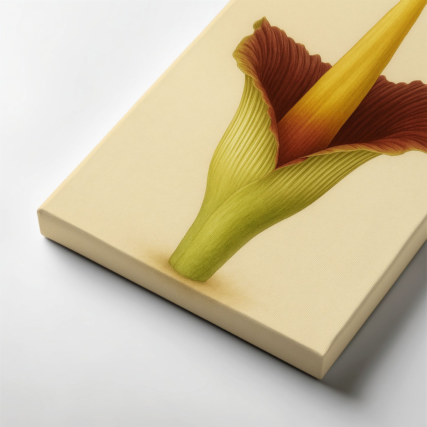 Amorphophallus Titanum – Classic Botanical Illustration Canvas Art