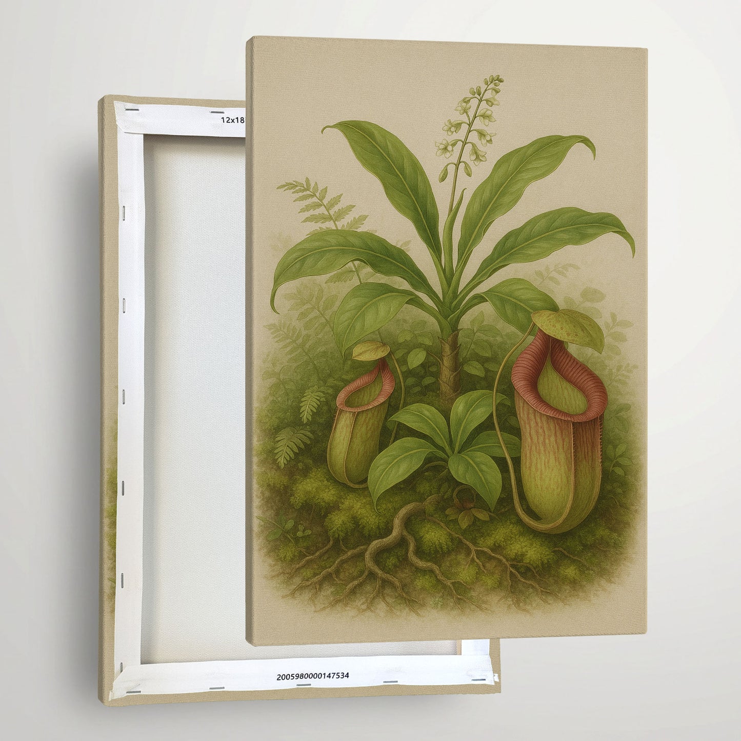 Pitcher Plant in the Wild – Botanical Illustration Canvas Wall Art