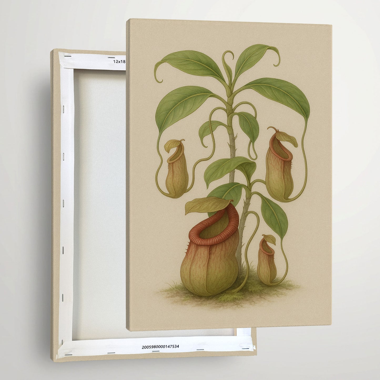 Tropical Pitcher Plant – Vintage Carnivorous Plant Illustration Canvas Art