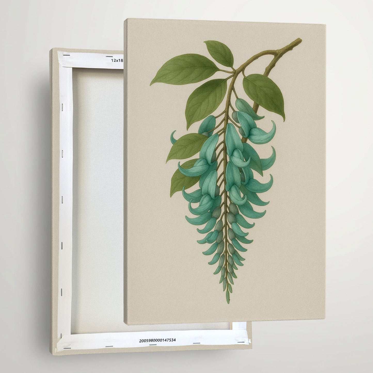 Jade Vine Study – Rare Botanical Illustration Canvas Wall Art