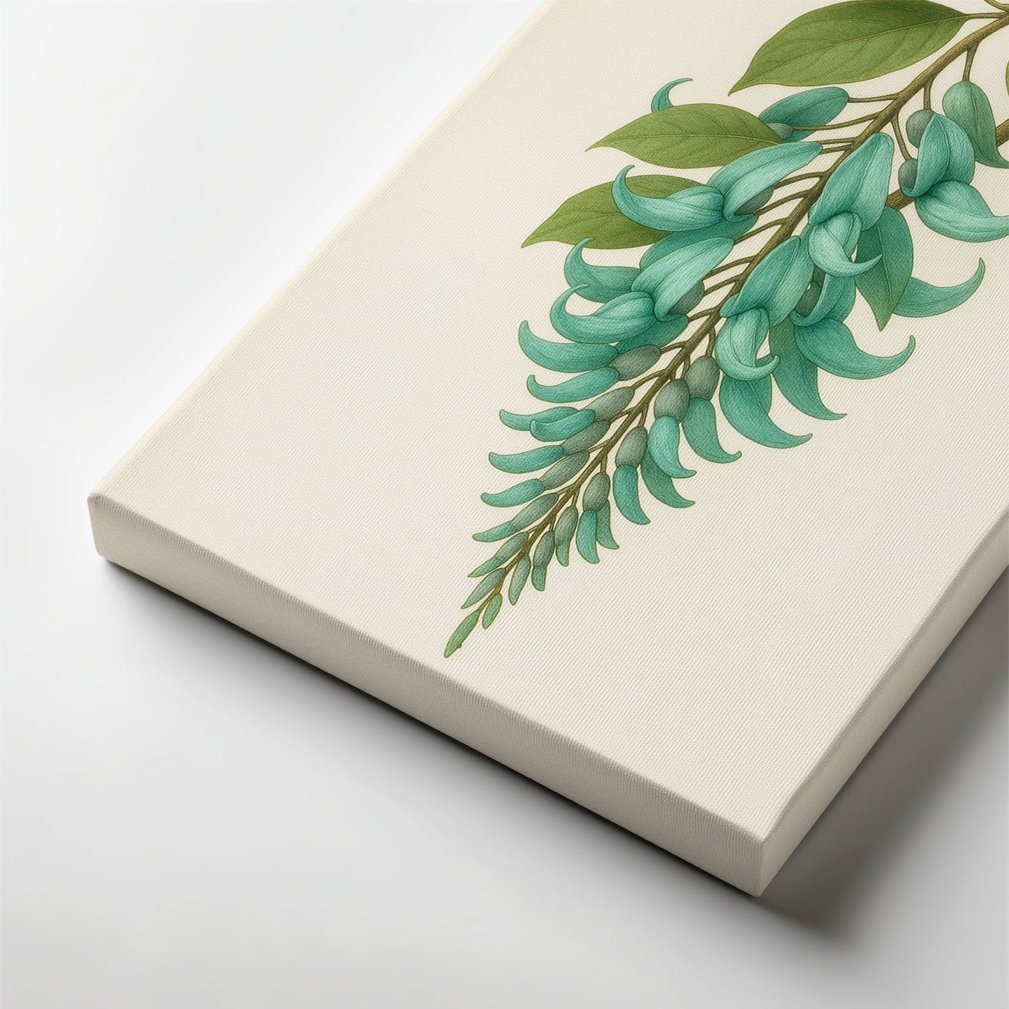 Jade Vine Study – Rare Botanical Illustration Canvas Wall Art