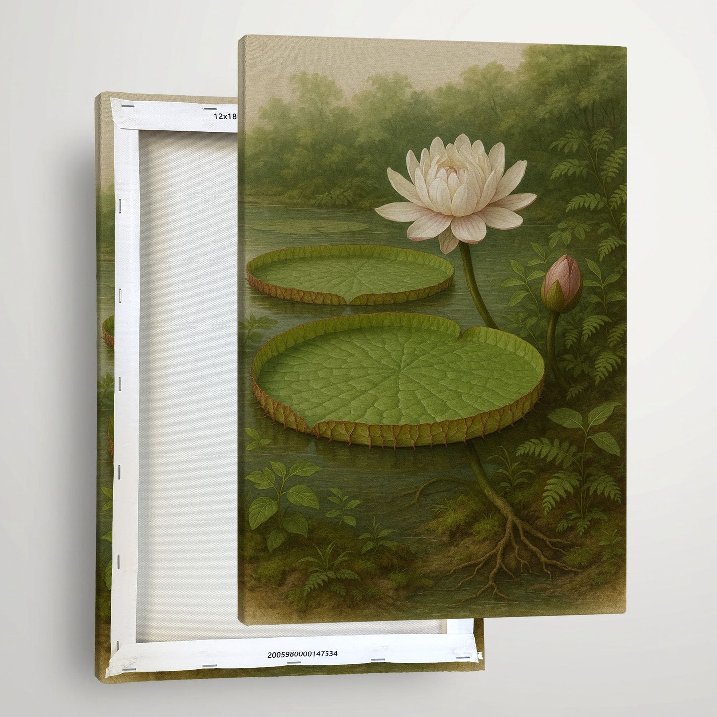 Water Lily in Still Waters – Botanical Illustration Canvas Wall Art