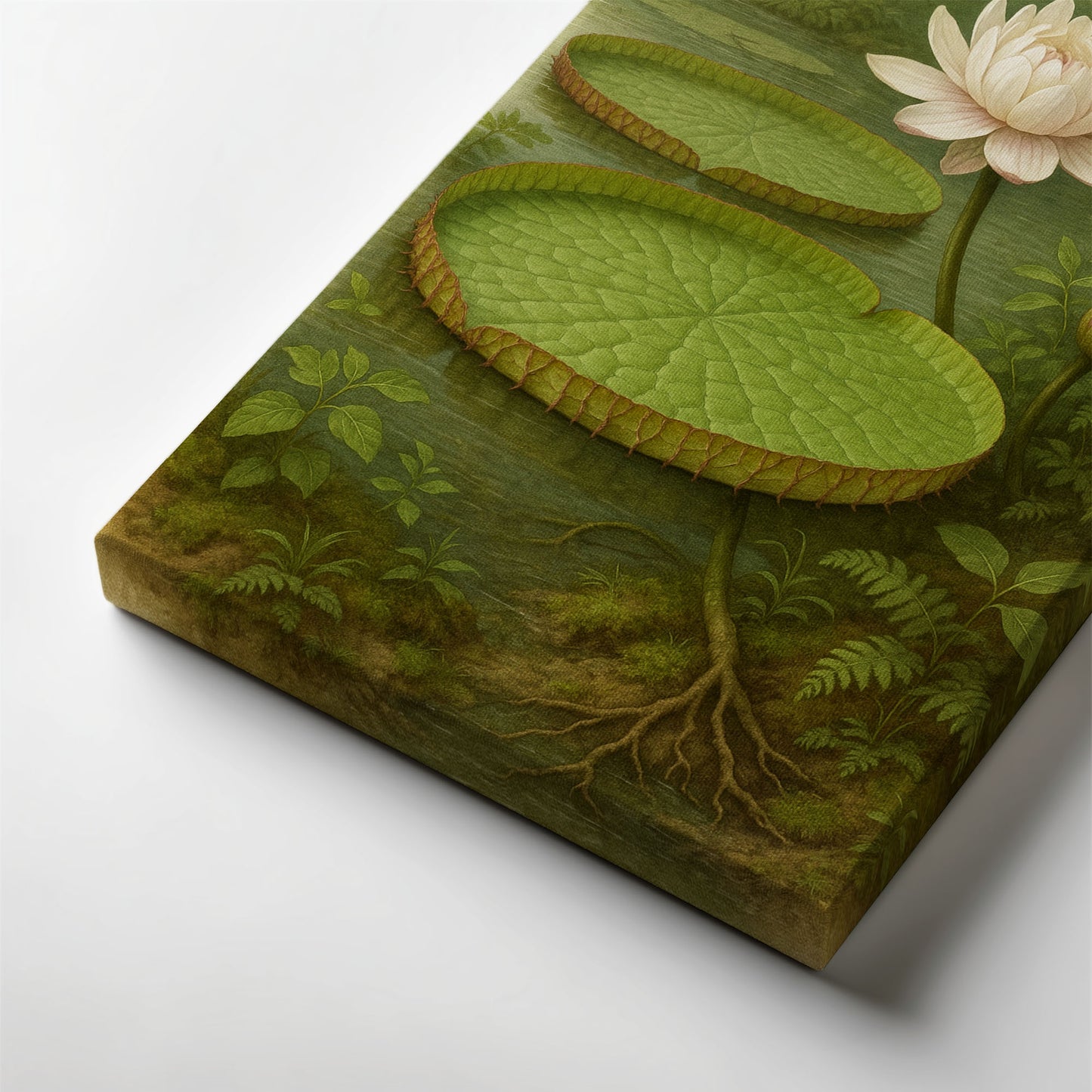 Water Lily in Still Waters – Botanical Illustration Canvas Wall Art