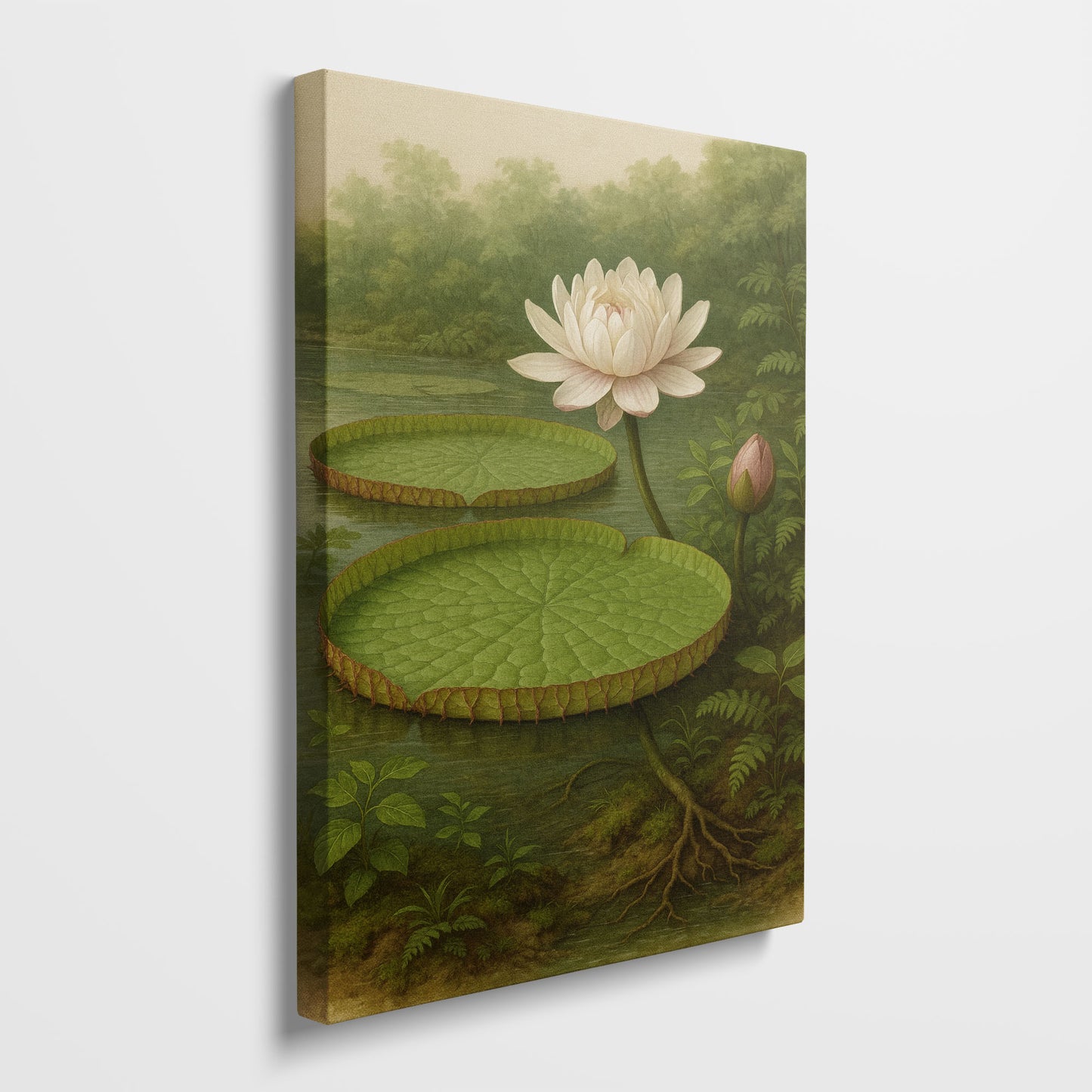 Water Lily in Still Waters – Botanical Illustration Canvas Wall Art