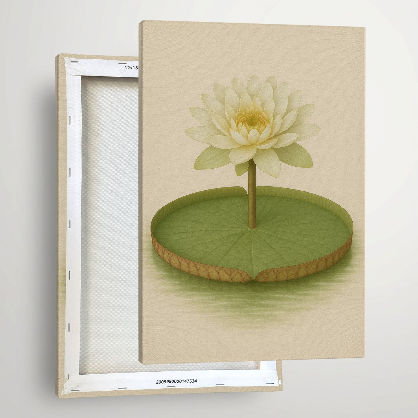Giant Water Lily – Vintage Botanical Illustration Canvas Wall Art