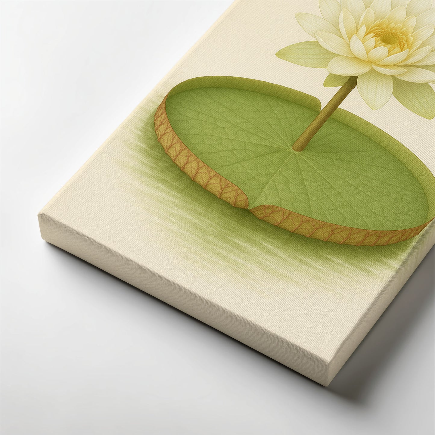 Giant Water Lily – Vintage Botanical Illustration Canvas Wall Art