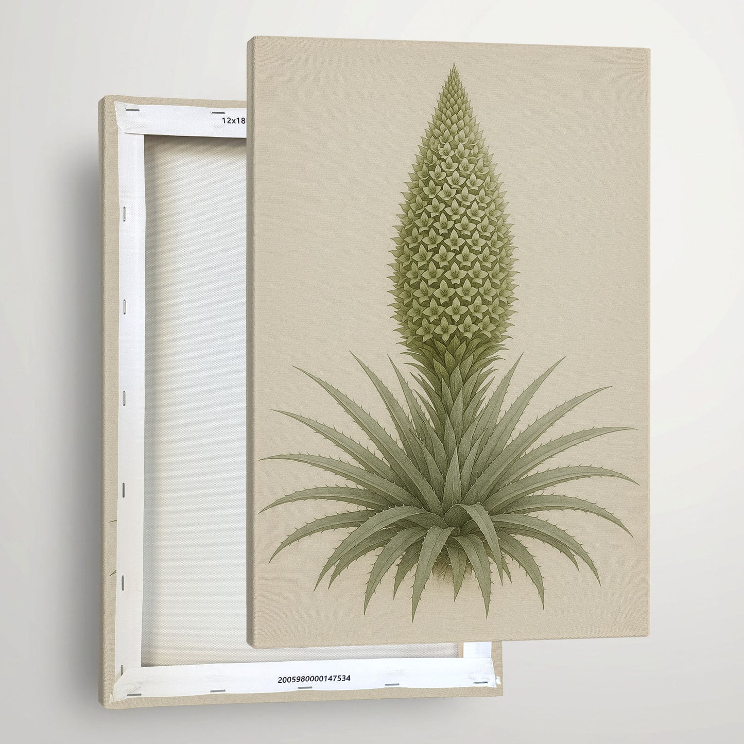Spiral Rosette Bloom - Botanical Illustration Canvas Wall Art