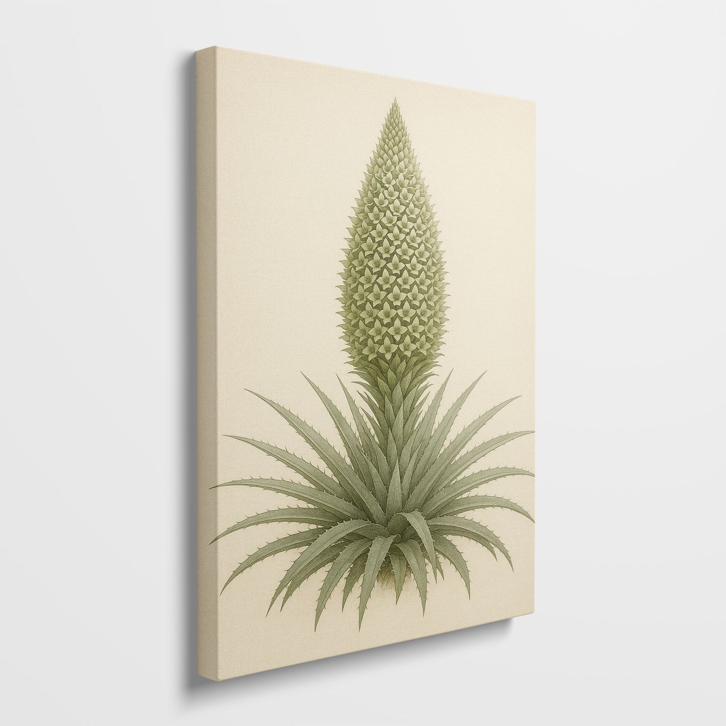 Spiral Rosette Bloom - Botanical Illustration Canvas Wall Art