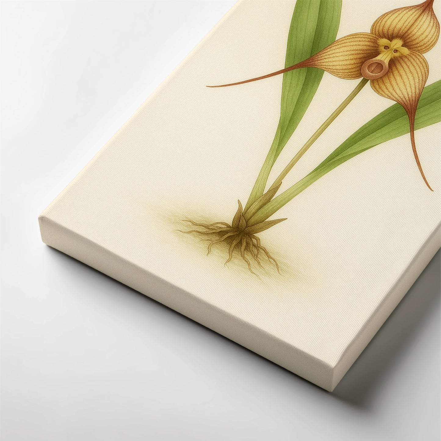 Orchid Form Study - Vintage Botanical Illustration Canvas Art