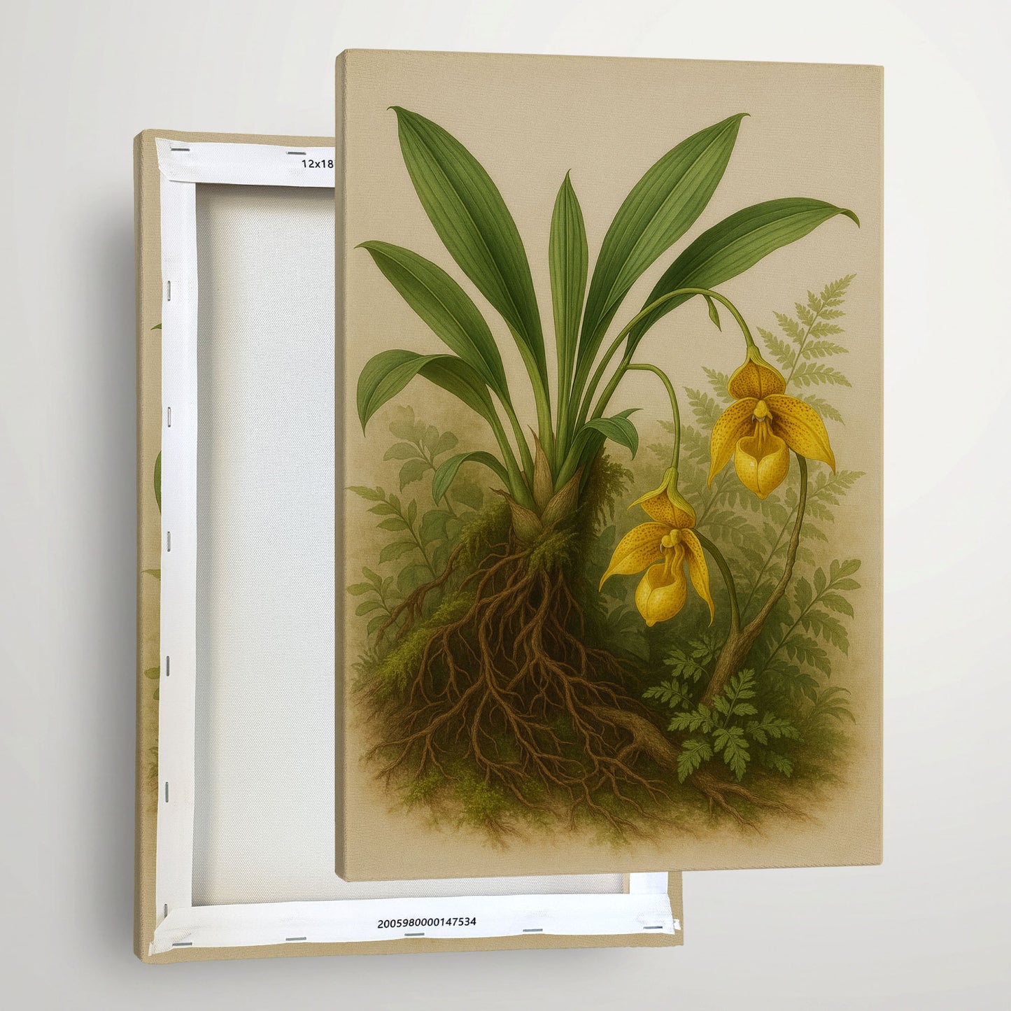 Slipper Orchid in Forest Light - Botanical Canvas Wall Art