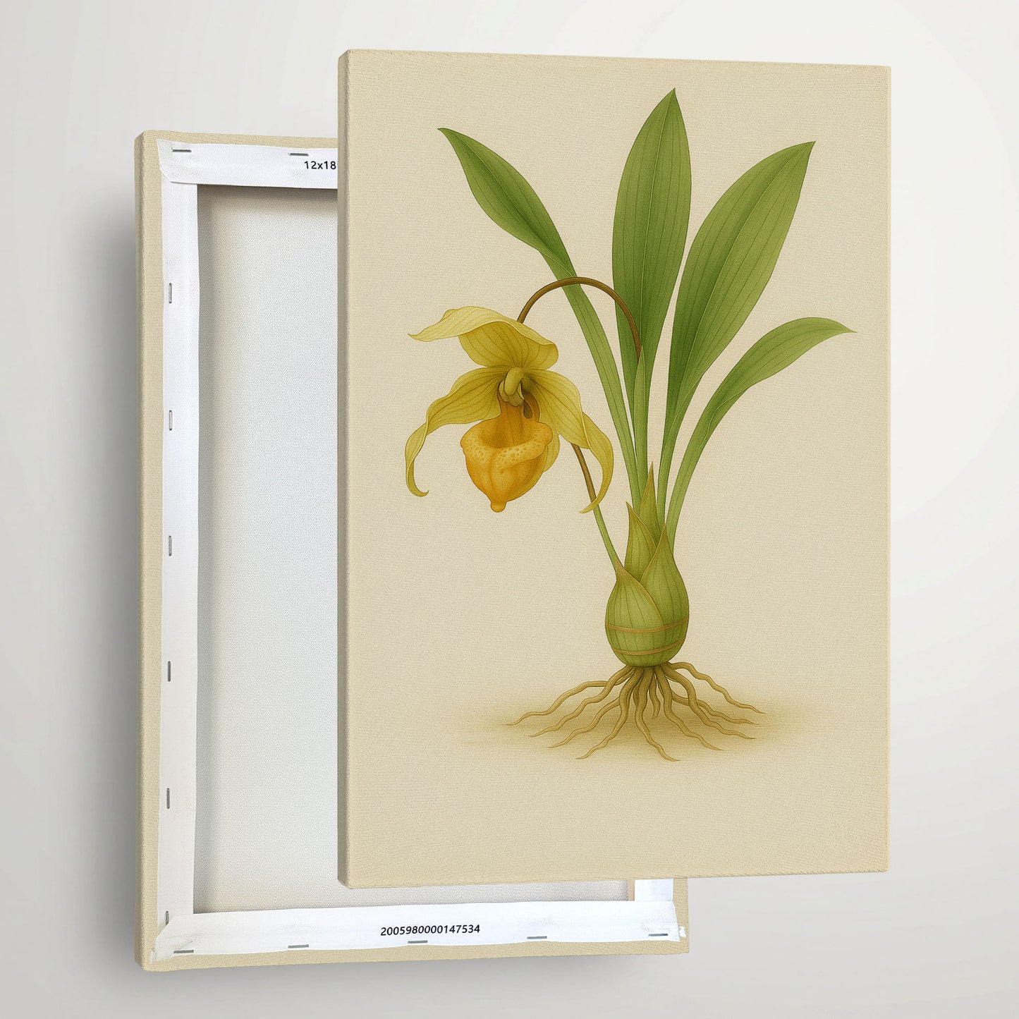 Golden Slipper Orchid - Rare Botanical Illustration Canvas Art