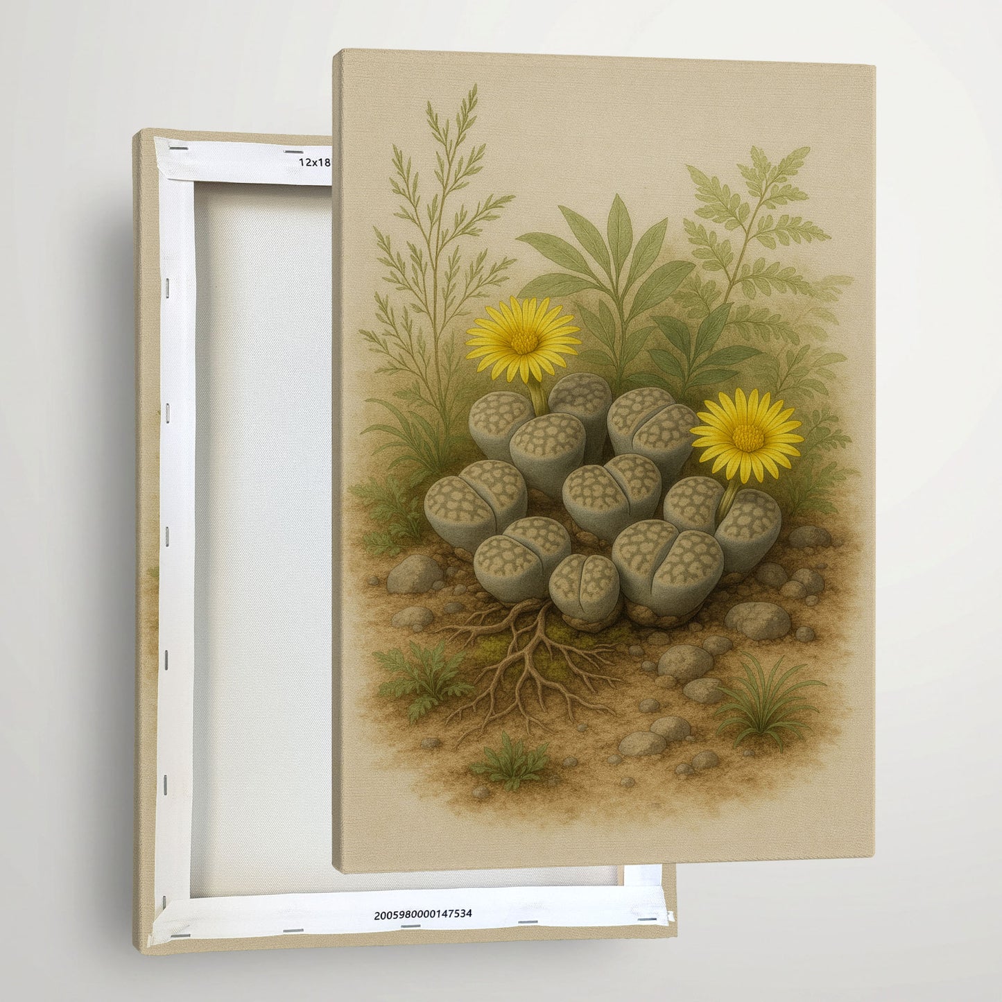 Blooming Lithops Illustration - Neutral Botanical Canvas Wall Art
