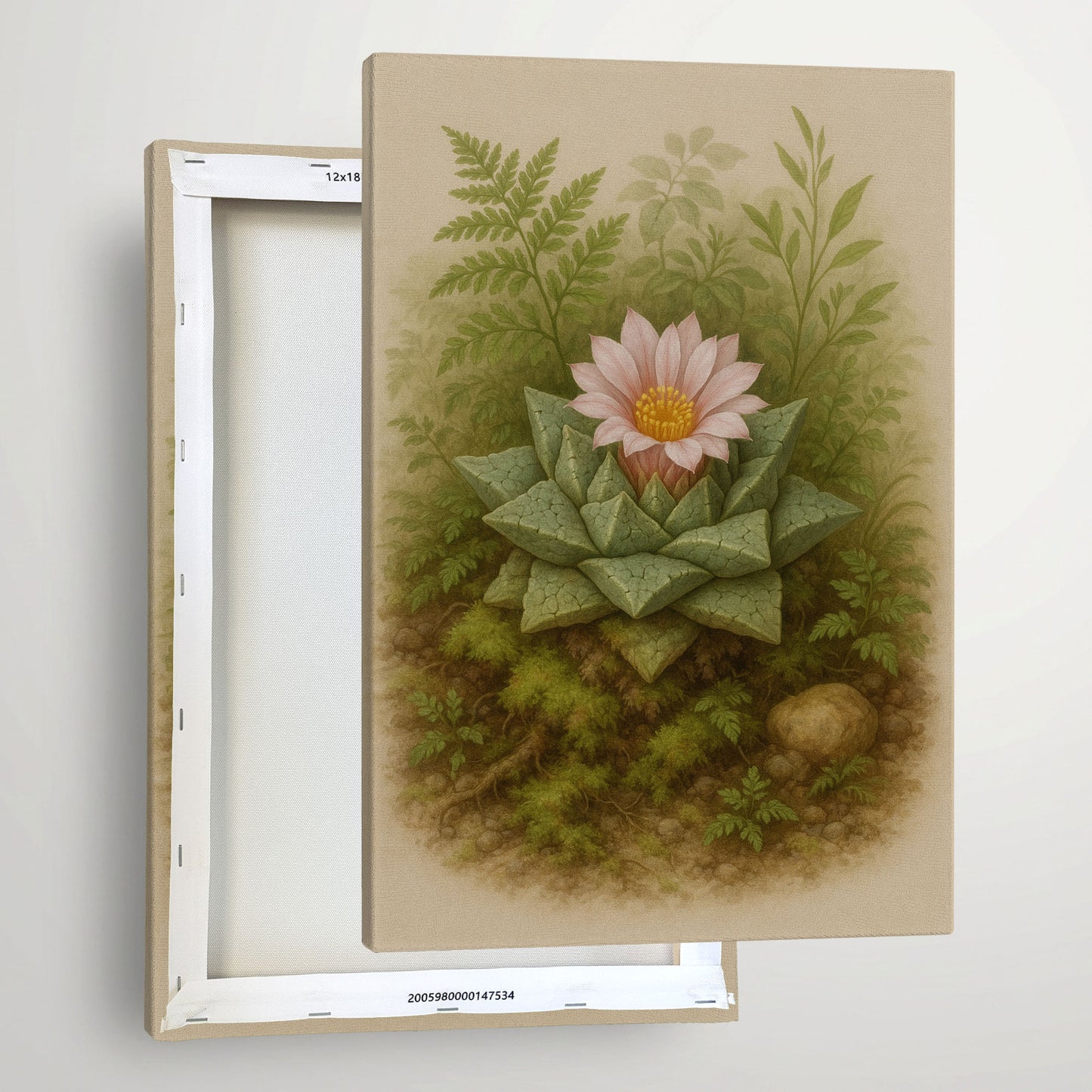 Haworthia Succulent Botanical Illustration - Organic Nature Canvas Wall Art