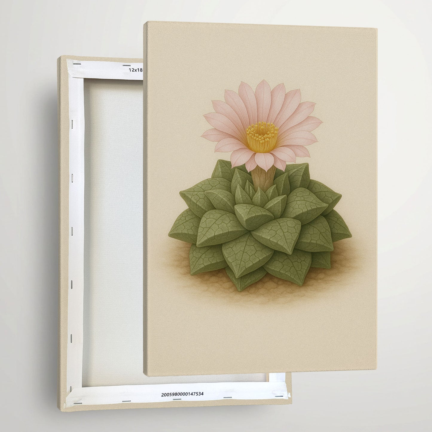 Haworthia Succulent Rosette Illustration - Minimalist Plant Canvas Art