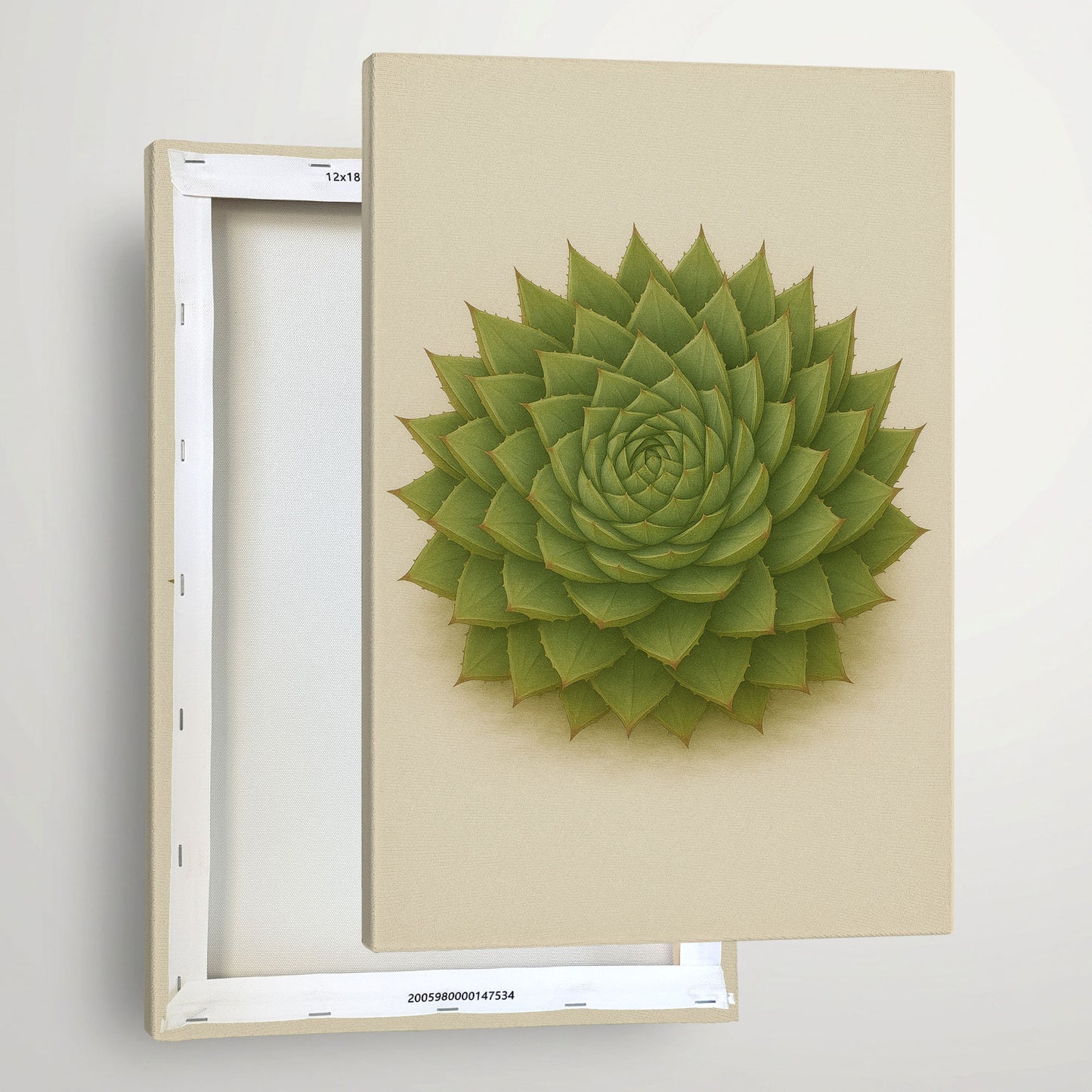 Succulent Rosette Illustration - Sculptural Botanical Canvas Wall Art