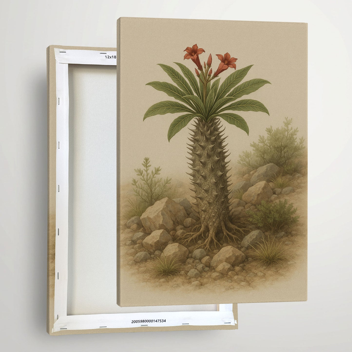 Pachypodium namaquanum – Desert Botanical Canvas Wall Art
