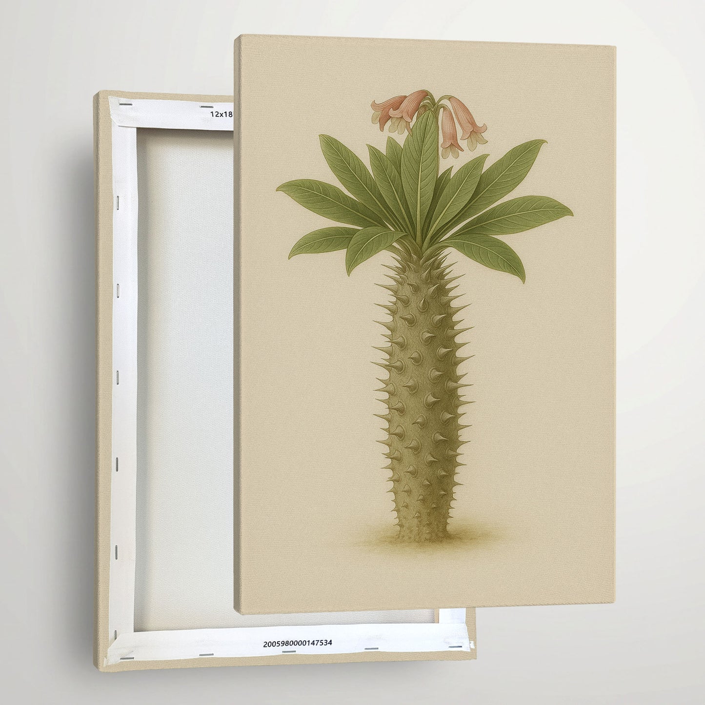 Pachypodium namaquanum – Botanical Canvas Wall Art