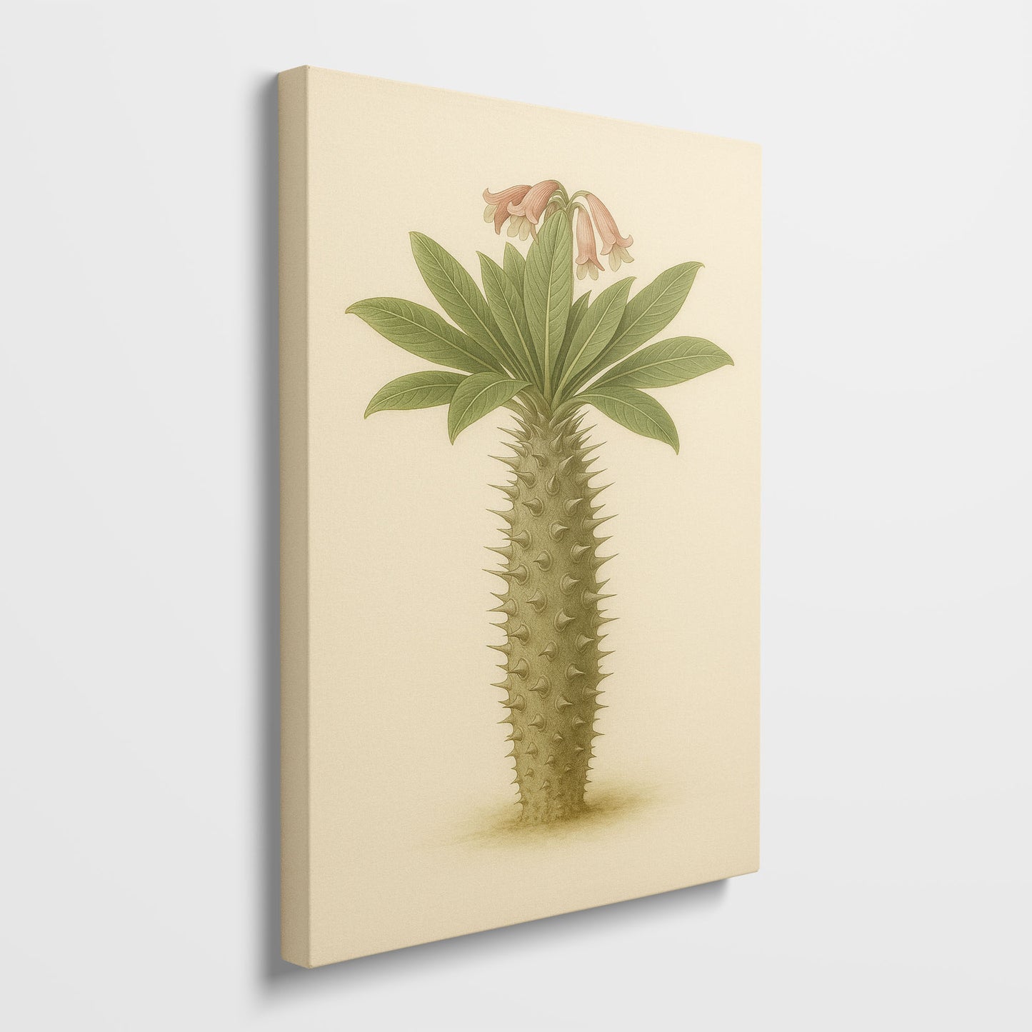 Pachypodium namaquanum – Botanical Canvas Wall Art