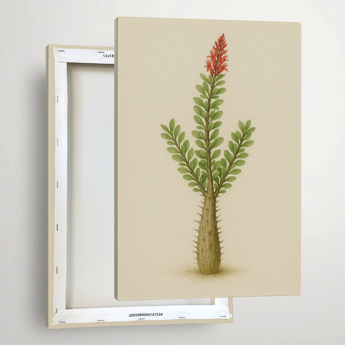 Fouquieria splendens – Botanical Canvas Wall Art