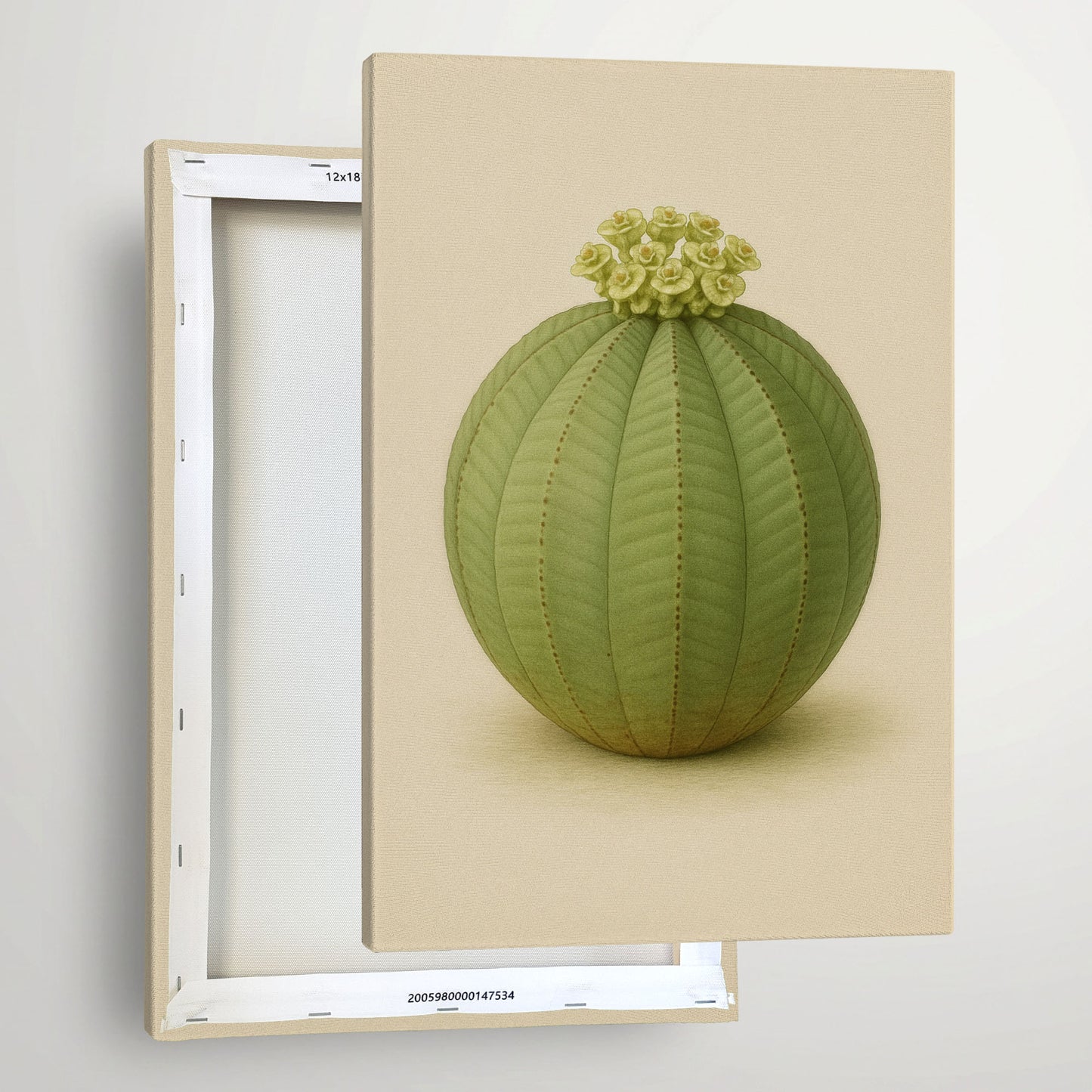 Euphorbia obesa – Botanical Canvas Wall Art