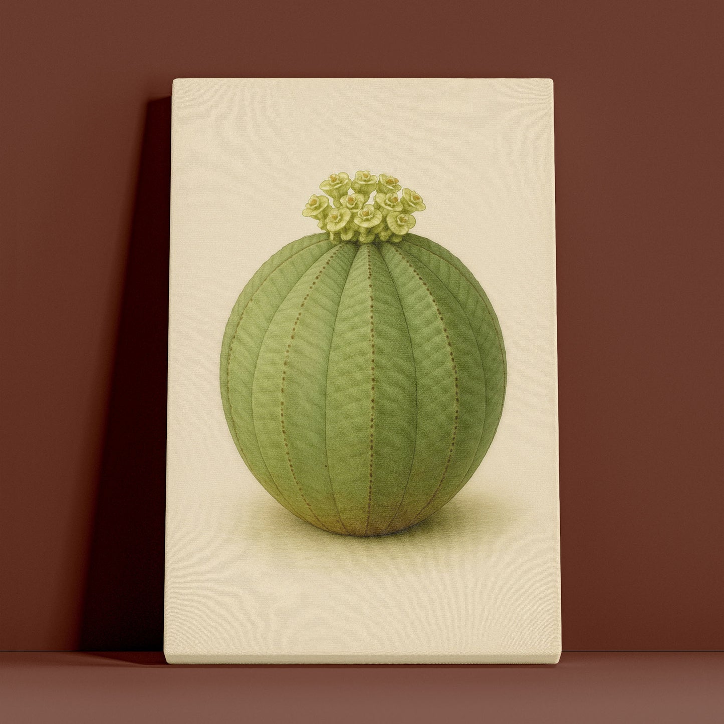 Euphorbia obesa – Botanical Canvas Wall Art