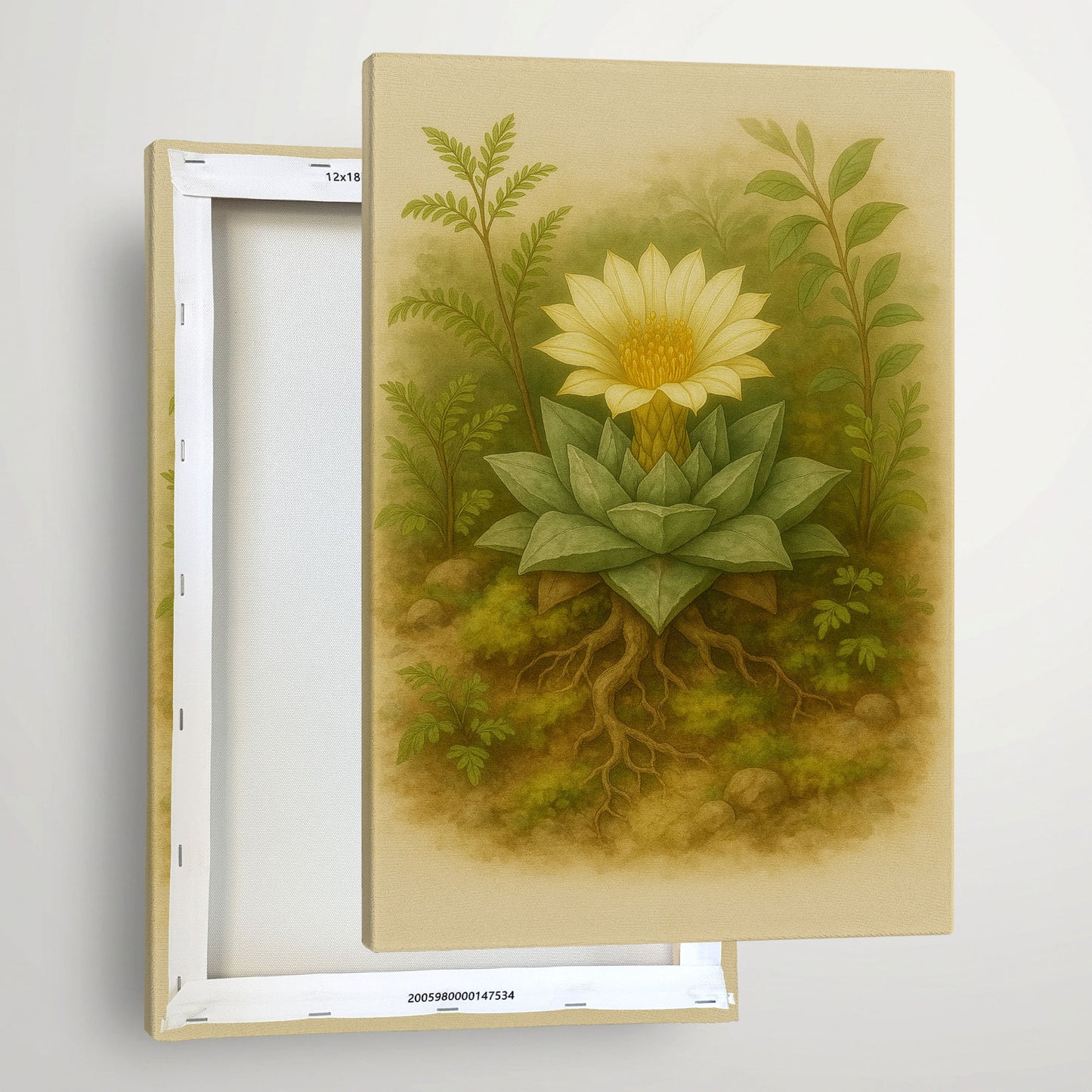 Ariocarpus retusus – Desert Botanical Canvas Wall Art