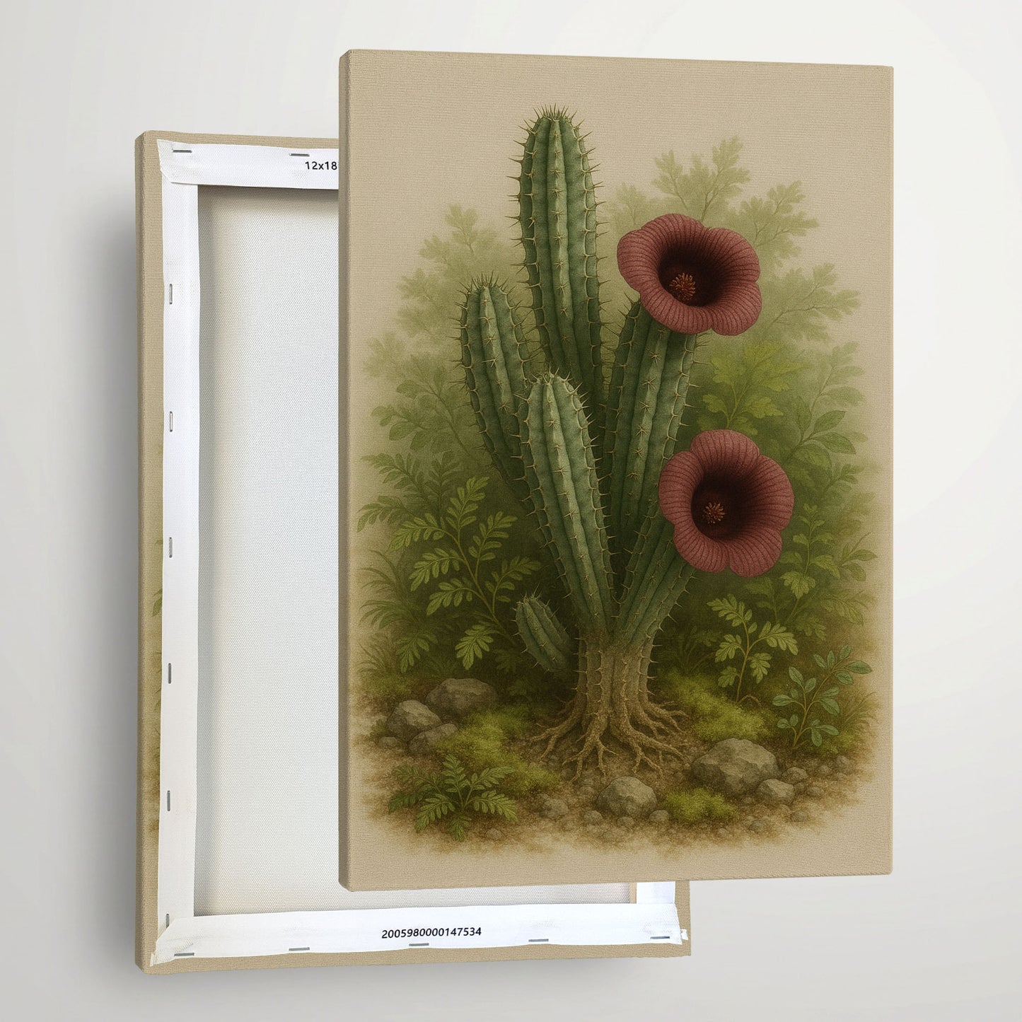 Hoodia gordonii – Desert Botanical Canvas Wall Art