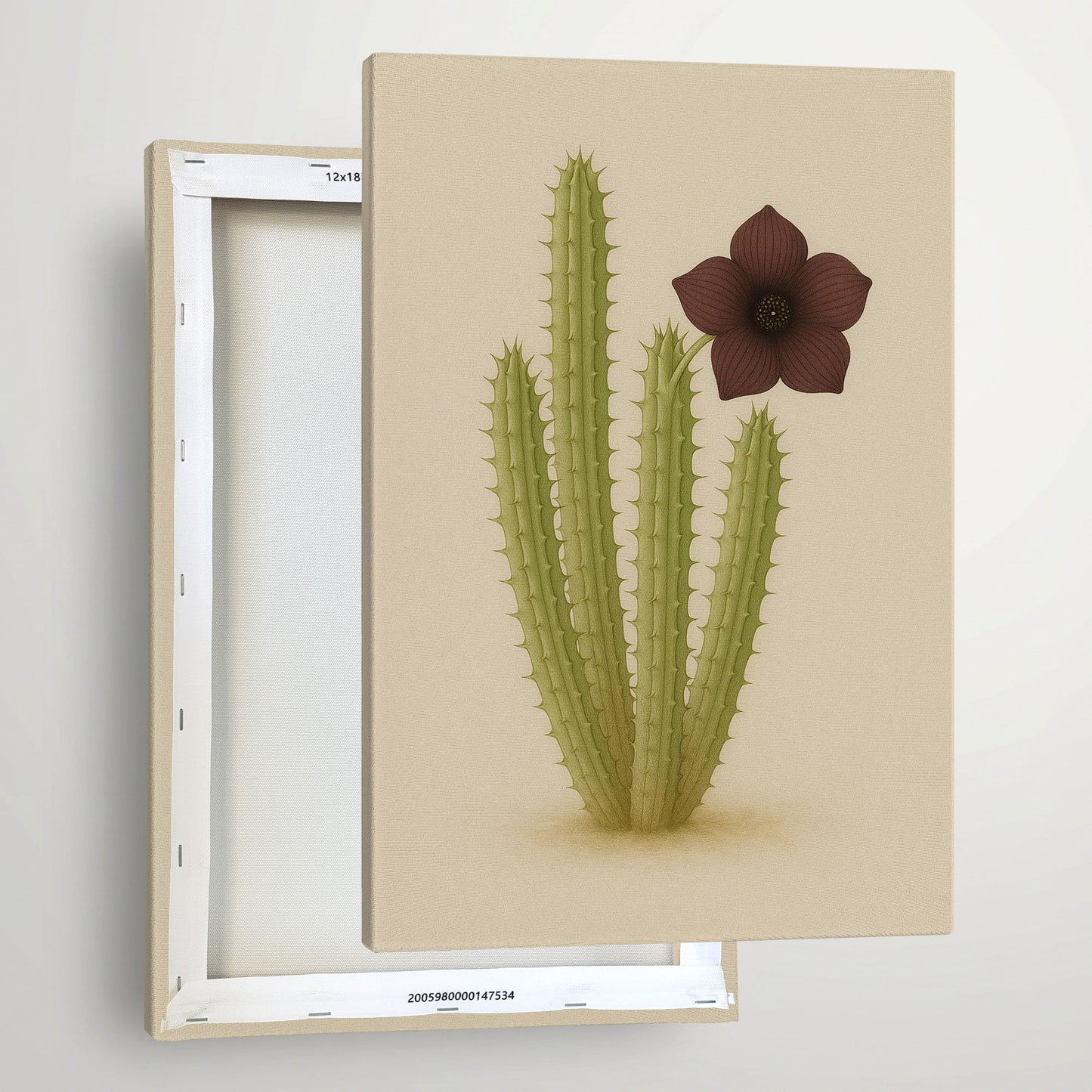 Hoodia gordonii – Botanical Canvas Wall Art
