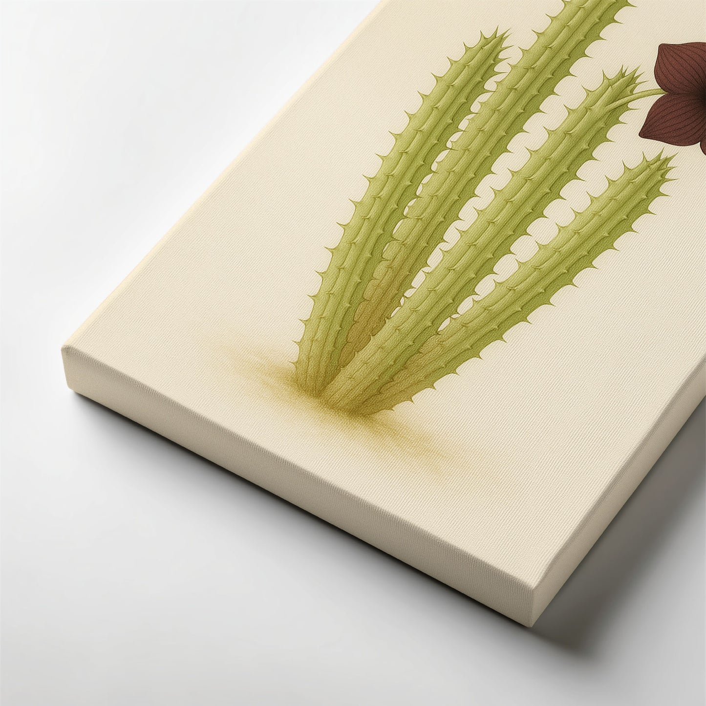 Hoodia gordonii – Botanical Canvas Wall Art